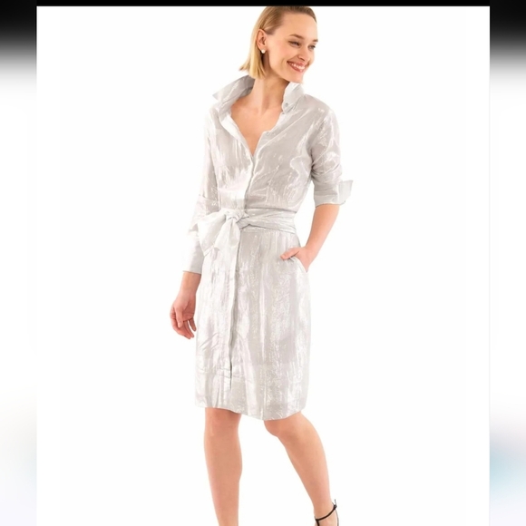 GRETCHEN SCOTT Breezy Blouson Dress- Glinda lurex -silver/white. Size Medium - Picture 3 of 16
